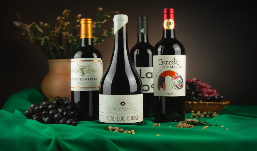 Descubre 'El Cántaro': El Nuevo Club de Vinos por Suscripción con Beneficios Exclusivos